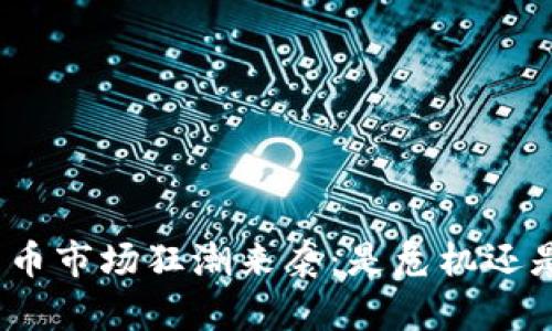 加密货币市场狂潮来袭：是危机还是转机？