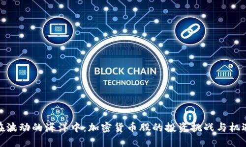 在波动的海洋中：加密货币股的投资挑战与机遇