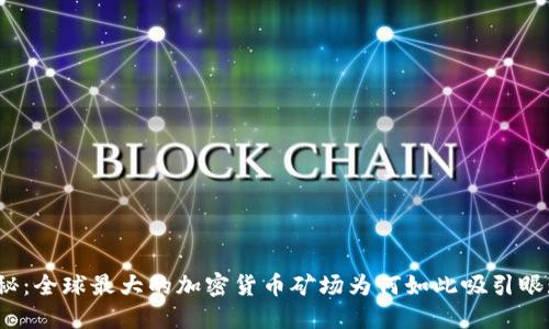 揭秘：全球最大的加密货币矿场为何如此吸引眼球？