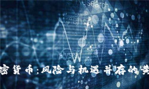 投资加密货币：风险与机遇并存的黄金时代