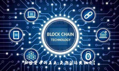 加密货币的未来：是泡沫还是机会？