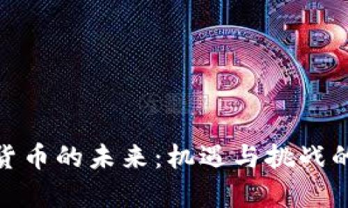 加密货币的未来：机遇与挑战的博弈