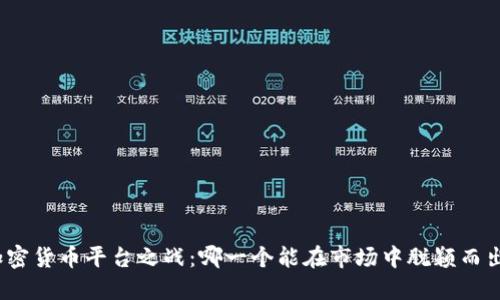 加密货币平台之战：哪一个能在市场中脱颖而出？