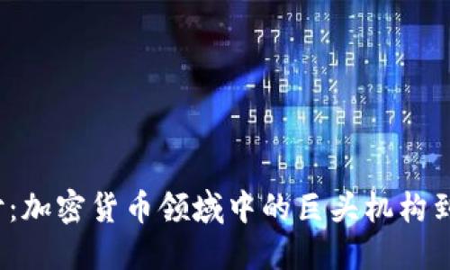 揭开面纱：加密货币领域中的巨头机构到底是谁？