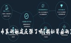 加密数字货币真的触底反弹了吗？揭秘背后的真