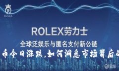 加密货币今日涨跌，如何洞悉市场背后的玄机？