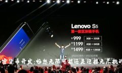 加密货币开发：畅想无限可能还是迎接无尽挑战