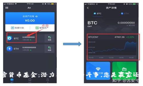 今年加密货币基金：潜力与风险的斗争，您是赢家还是输家？