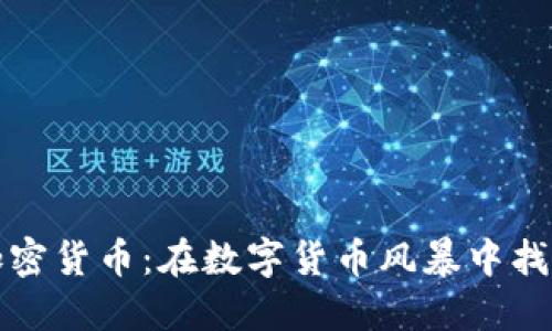 美元支持的加密货币：在数字货币风暴中找到你的避风港