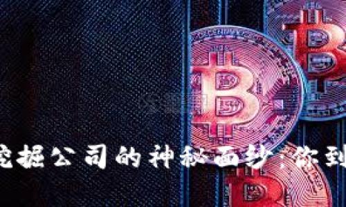 揭开加密货币挖掘公司的神秘面纱：你到底在投资什么？
