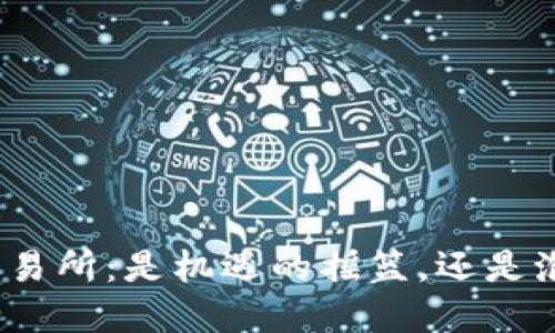 加密货币交易所：是机遇的摇篮，还是泡沫的温床？