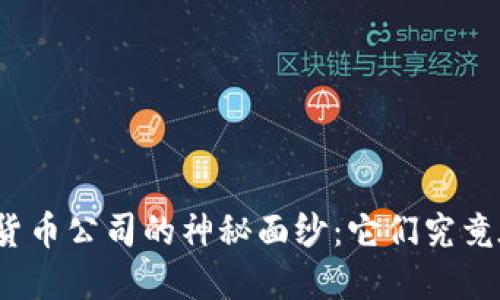 揭开加密货币公司的神秘面纱：它们究竟在做什么？