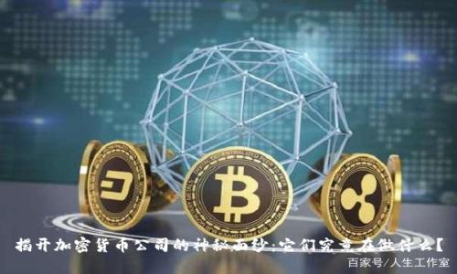 揭开加密货币公司的神秘面纱：它们究竟在做什么？