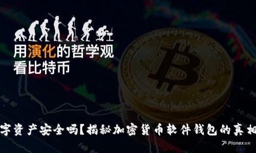 你的数字资产安全吗？揭秘加密货币软件钱包的真相与挑战
