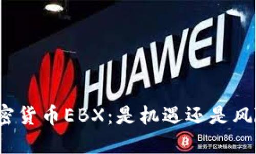 加密货币EBX：是机遇还是风险？
