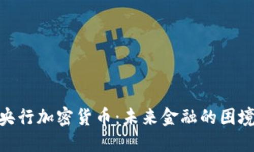 俄罗斯央行加密货币：未来金融的困境与机遇