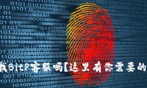 你在寻找BitP客服吗？这里有你需要的全攻略！
