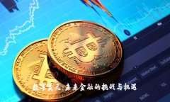 数字美元：未来金融的挑战与机遇