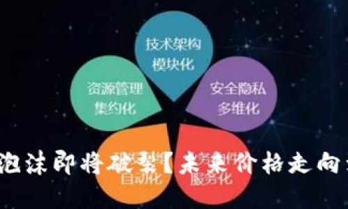 加密货币泡沫即将破裂？未来价格走向到底如何？