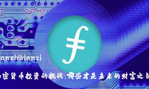 bianzi/bianzi

加密货币投资的挑战：哪些才是未来的财富之钥？