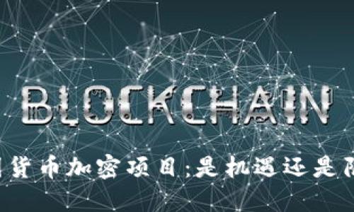 韩国货币加密项目：是机遇还是陷阱？