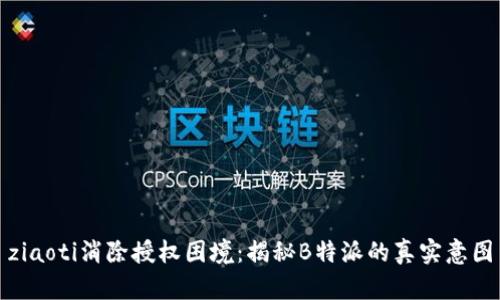 ziaoti消除授权困境：揭秘B特派的真实意图