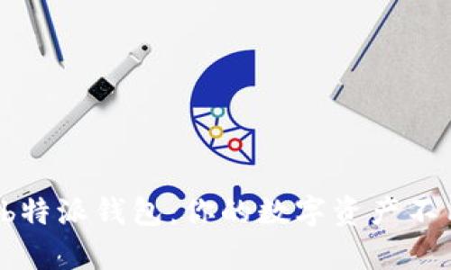 轻松恢复b特派钱包：你的数字资产不用怕丢失！