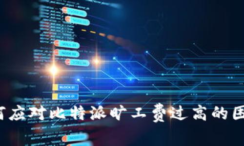 如何应对比特派旷工费过高的困扰？