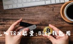 如何轻松充入TRX能量：Bitp钱包用户必看指南