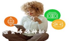 揭开Peter加密货币的神秘面纱：真相还是骗局？