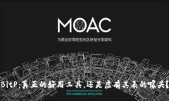 BitP：真正的好用工具，还是虚有其表的噱头？