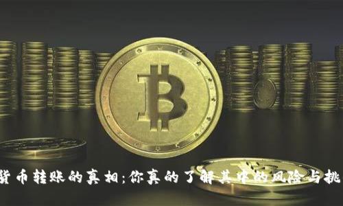 加密货币转账的真相：你真的了解其中的风险与挑战吗？