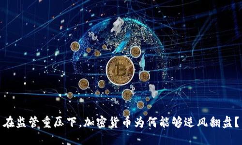 在监管重压下，加密货币为何能够逆风翻盘？