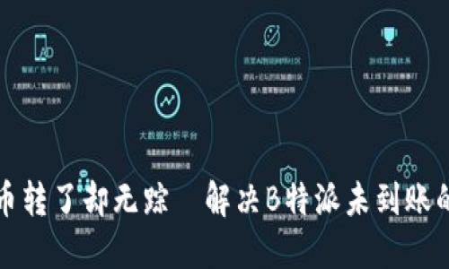 别让币转了却无踪—解决B特派未到账的难题