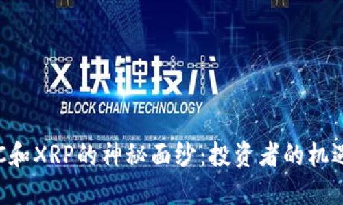 揭开LNC和XRP的神秘面纱：投资者的机遇与风险
