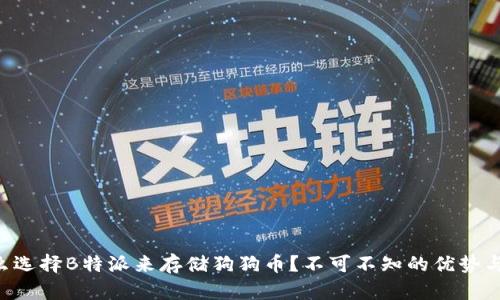 为什么选择B特派来存储狗狗币？不可不知的优势与挑战！