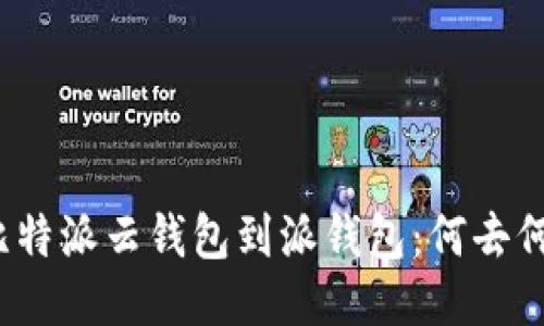 从比特派云钱包到派钱包：何去何从？