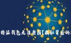 为什么B特派钱包无法截图？揭秘背后的安全考量