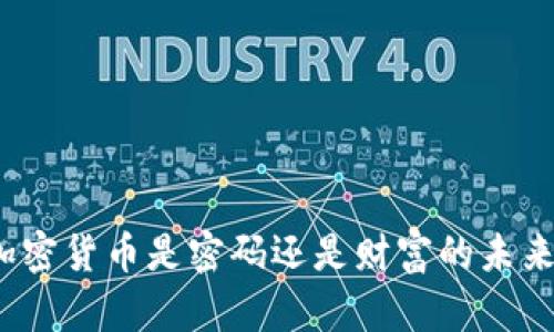 加密货币是密码还是财富的未来？