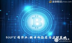 BitP公司停业：提币的隐患与应对策略