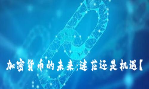 加密货币的未来：迷茫还是机遇？