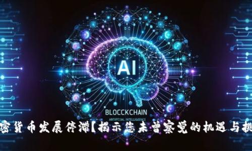 加密货币发展停滞？揭示您未曾察觉的机遇与挑战