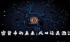加密货币的未来：风口还是泡沫？