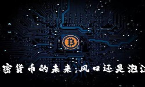 加密货币的未来：风口还是泡沫？