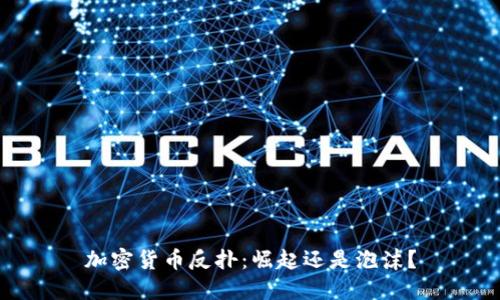 加密货币反扑：崛起还是泡沫？