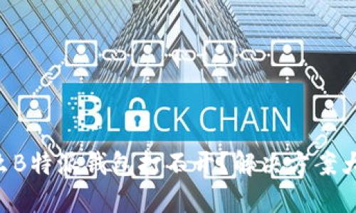 为什么B特派钱包打不开？解决方案大揭秘！