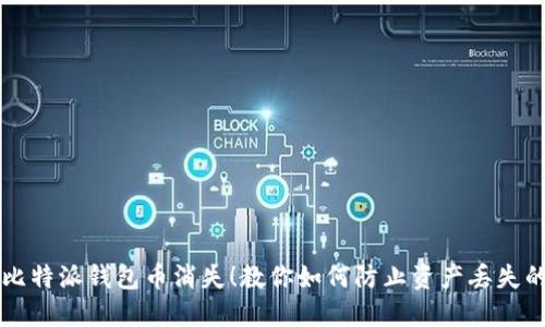 别让你的比特派钱包币消失！教你如何防止资产丢失的终极指南