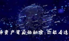 揭开加密货币资产背后的秘密：你能看透这些谜