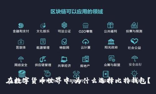 在数字货币世界中，为什么选择比特钱包？
