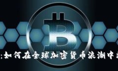 解锁未来：如何在全球加密货币浪潮中站稳脚跟